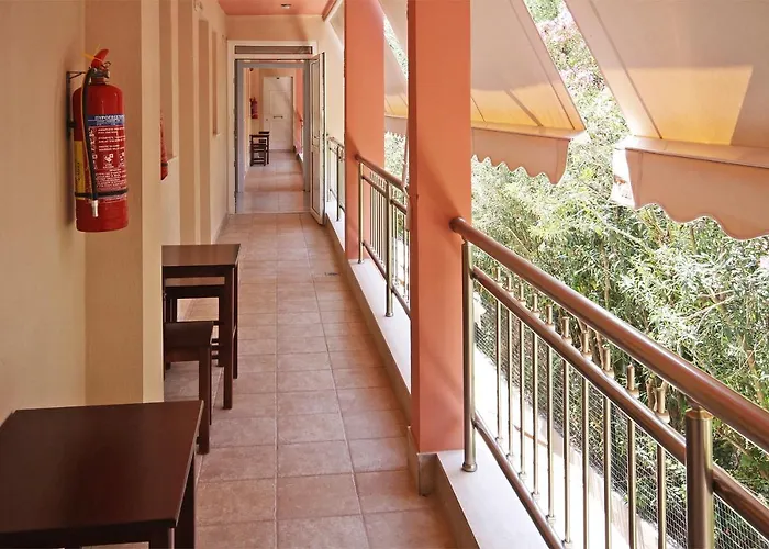 Coralli 奥马斯帕纳吉亚斯